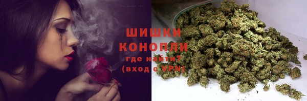 трава Новодвинск
