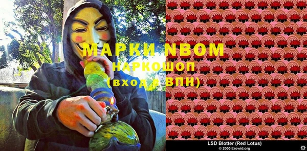 не бодяженный Новозыбков
