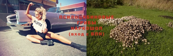 скорость Новокубанск