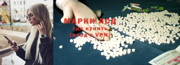 скорость Новокубанск