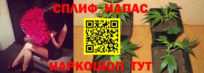 гидра Северобайкальск
