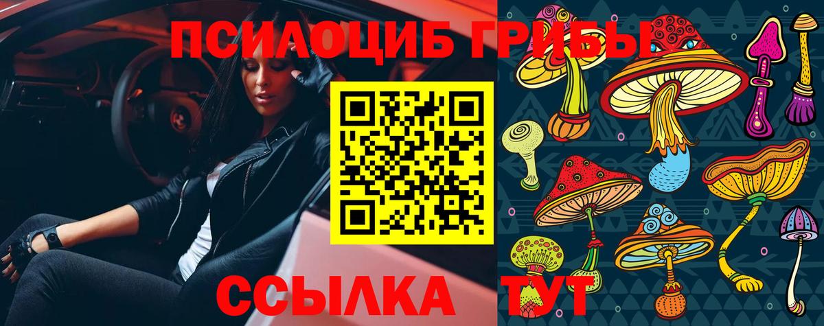 Ханты-Мансийск  Псилоцибиновые грибы Psilocybine cubensis  Вход с VPN 